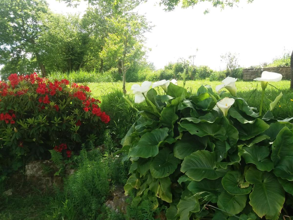 Gite De Rosvern Commana Zewnętrze zdjęcie